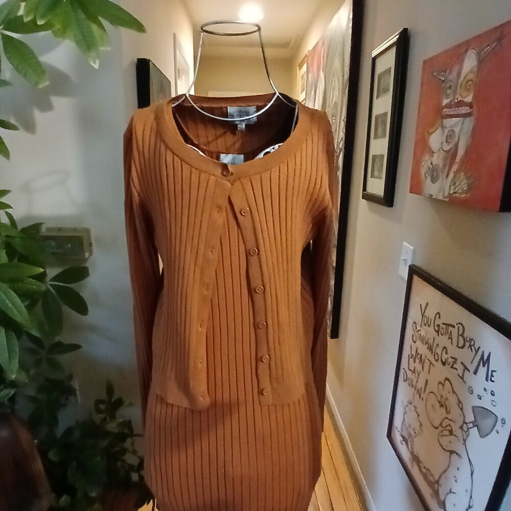 Pumpkin Orange "Pink Rose" Sweater & Dress Set!